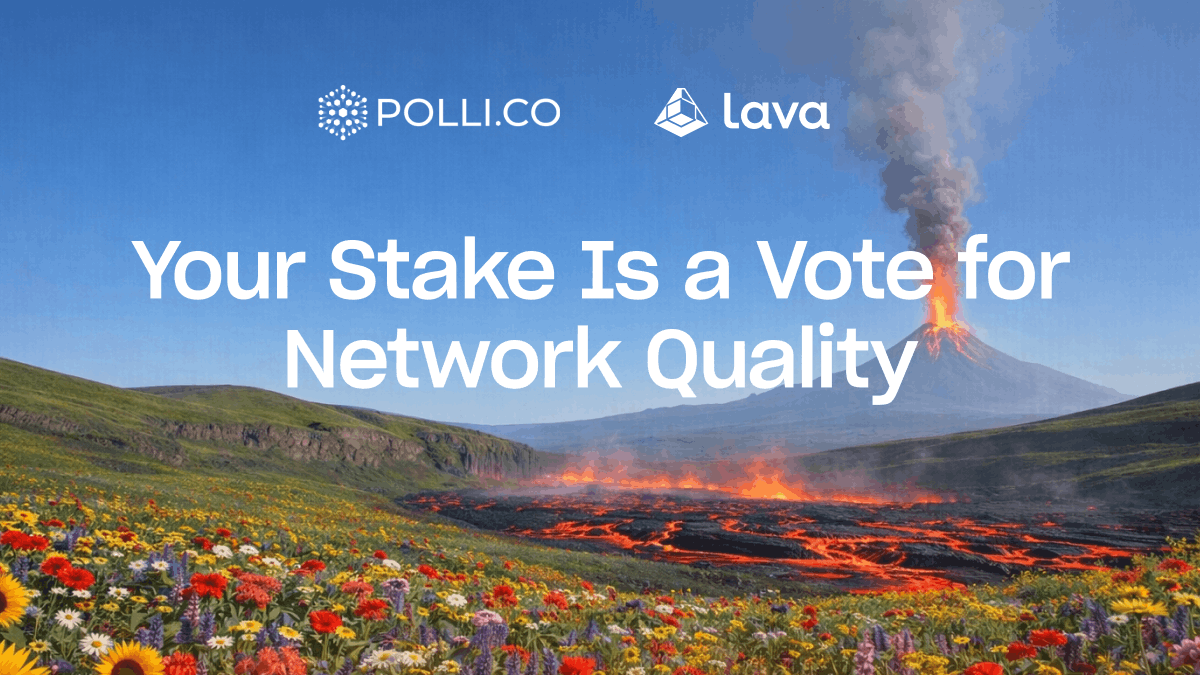 polli lava